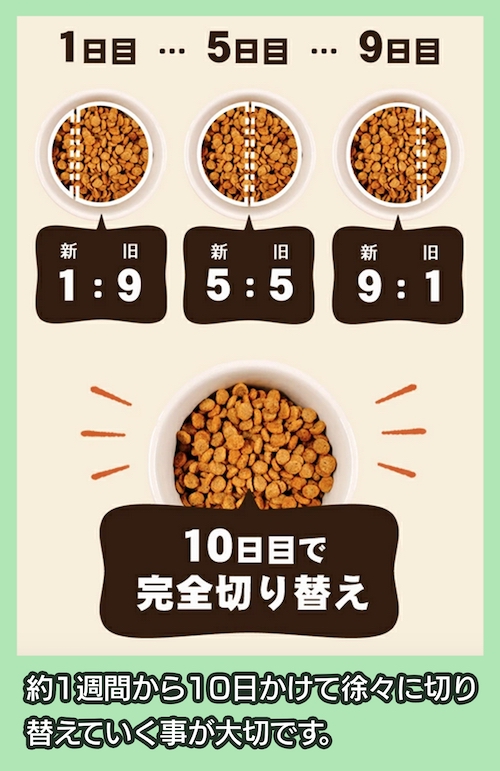ドッグフードの切り替え方