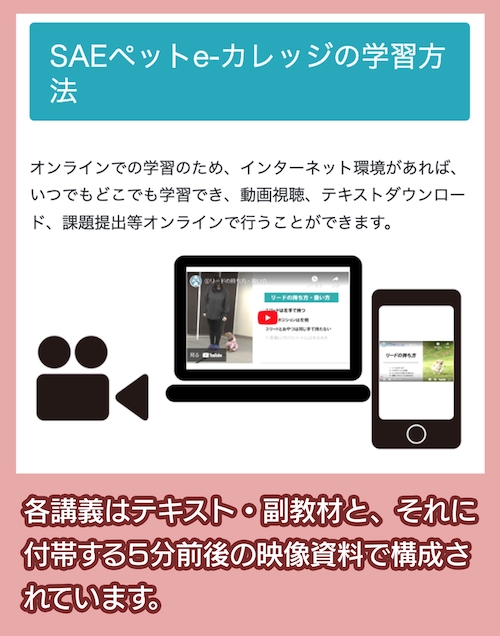 SAE認定 スタイリッシュトリマー講座