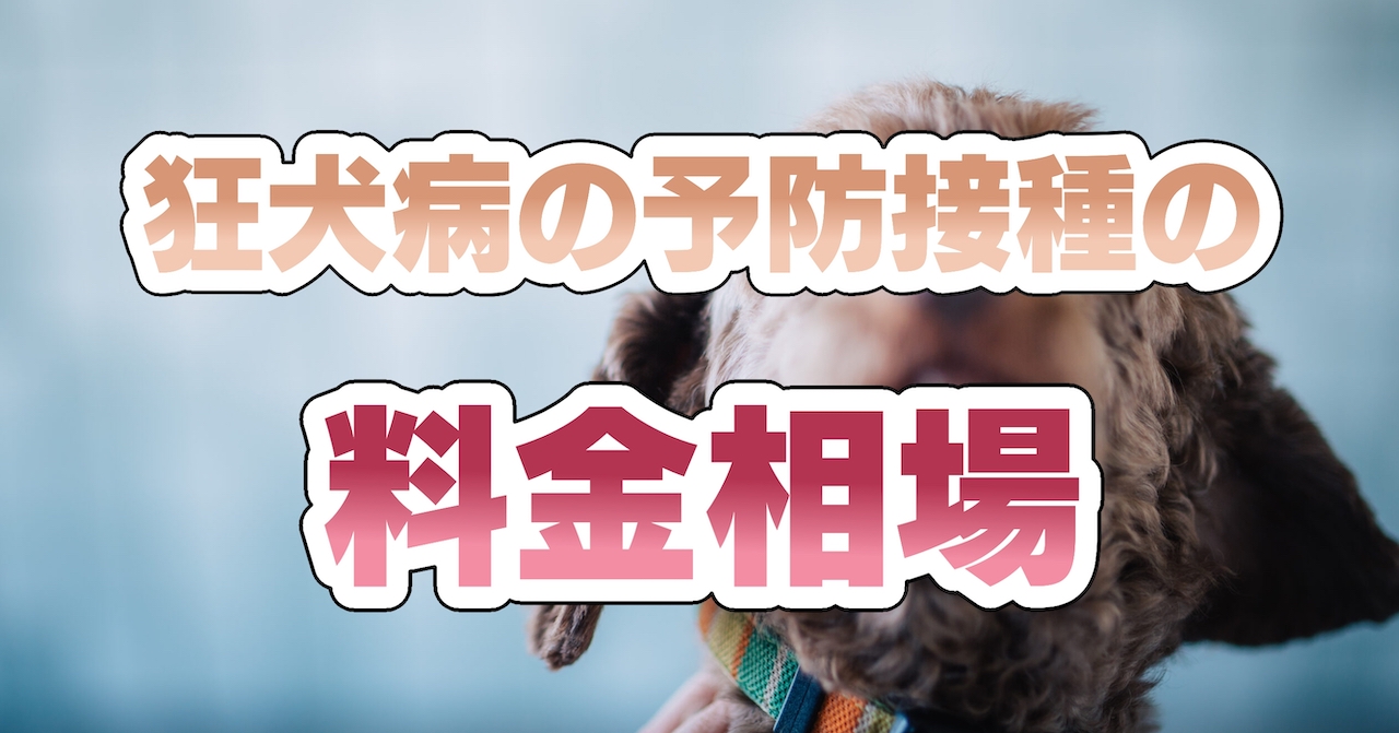 狂犬病の予防接種の料金相場