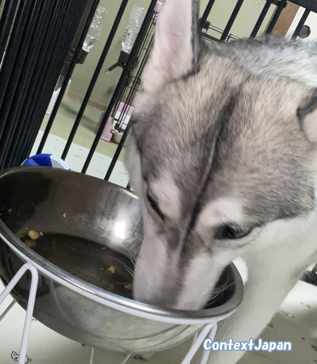 ブッチ「ブラック・レーベル」の口コミ