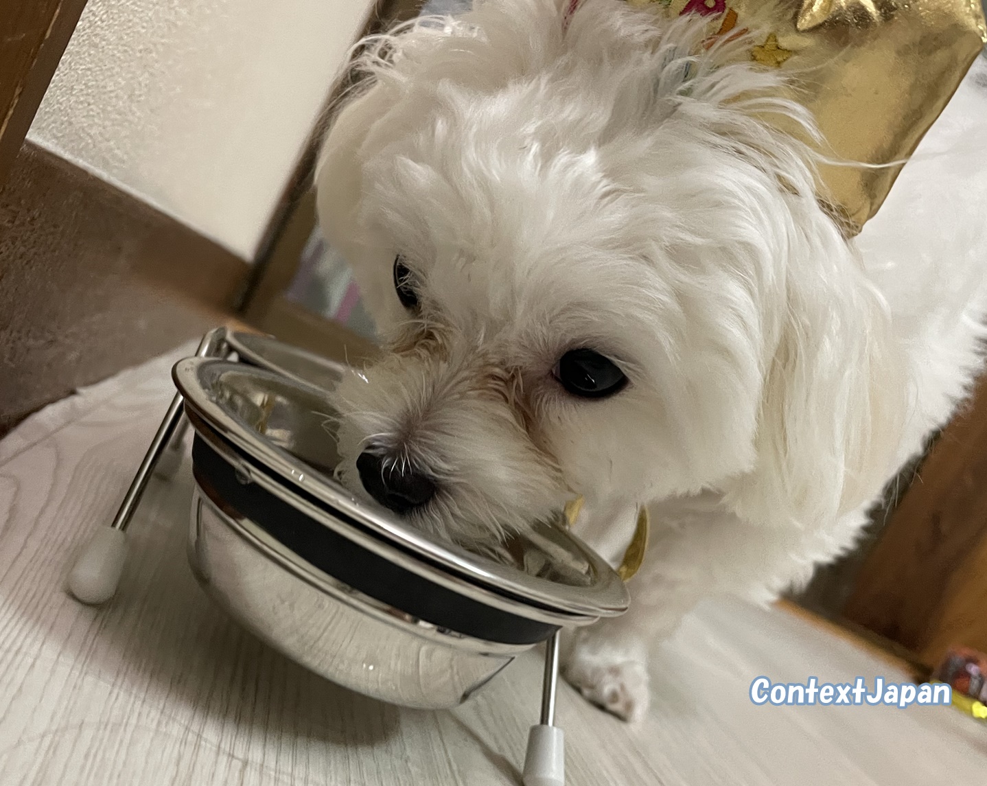 ブッチ「ブラック・レーベル」の口コミ