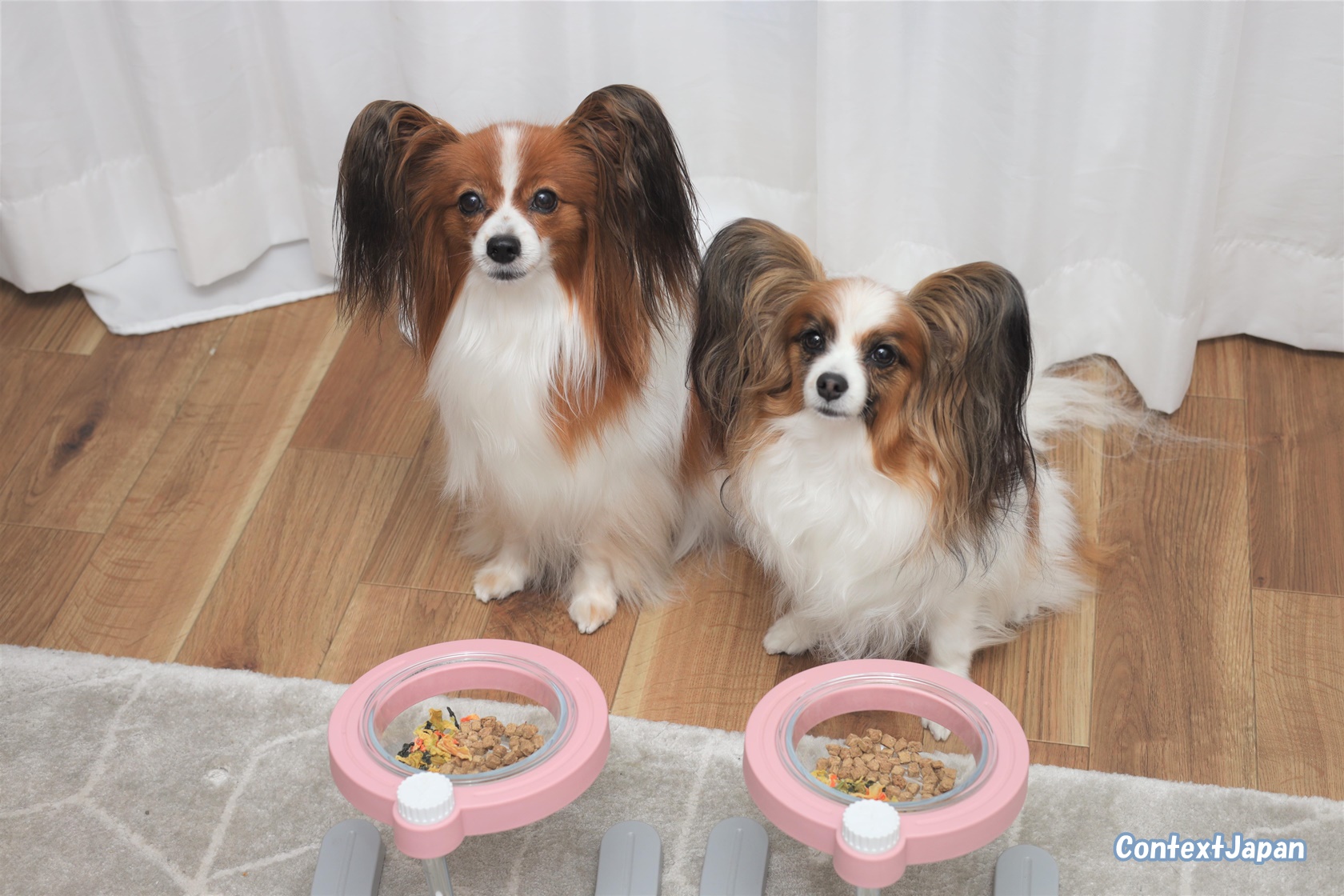 ドッグフード工房の体験レビュー