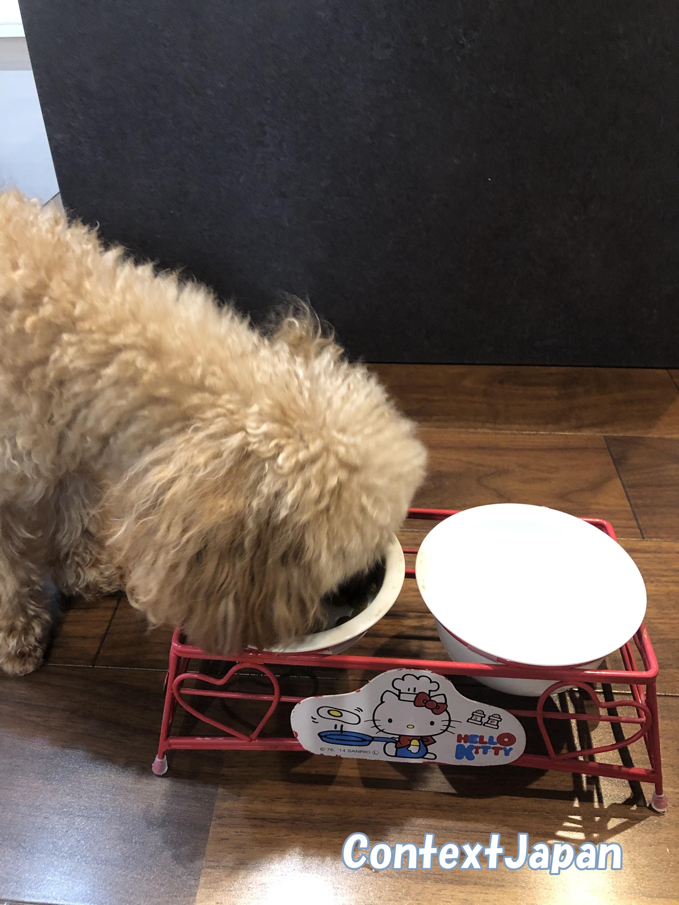 ロイヤルカナンドッグフードの体験談