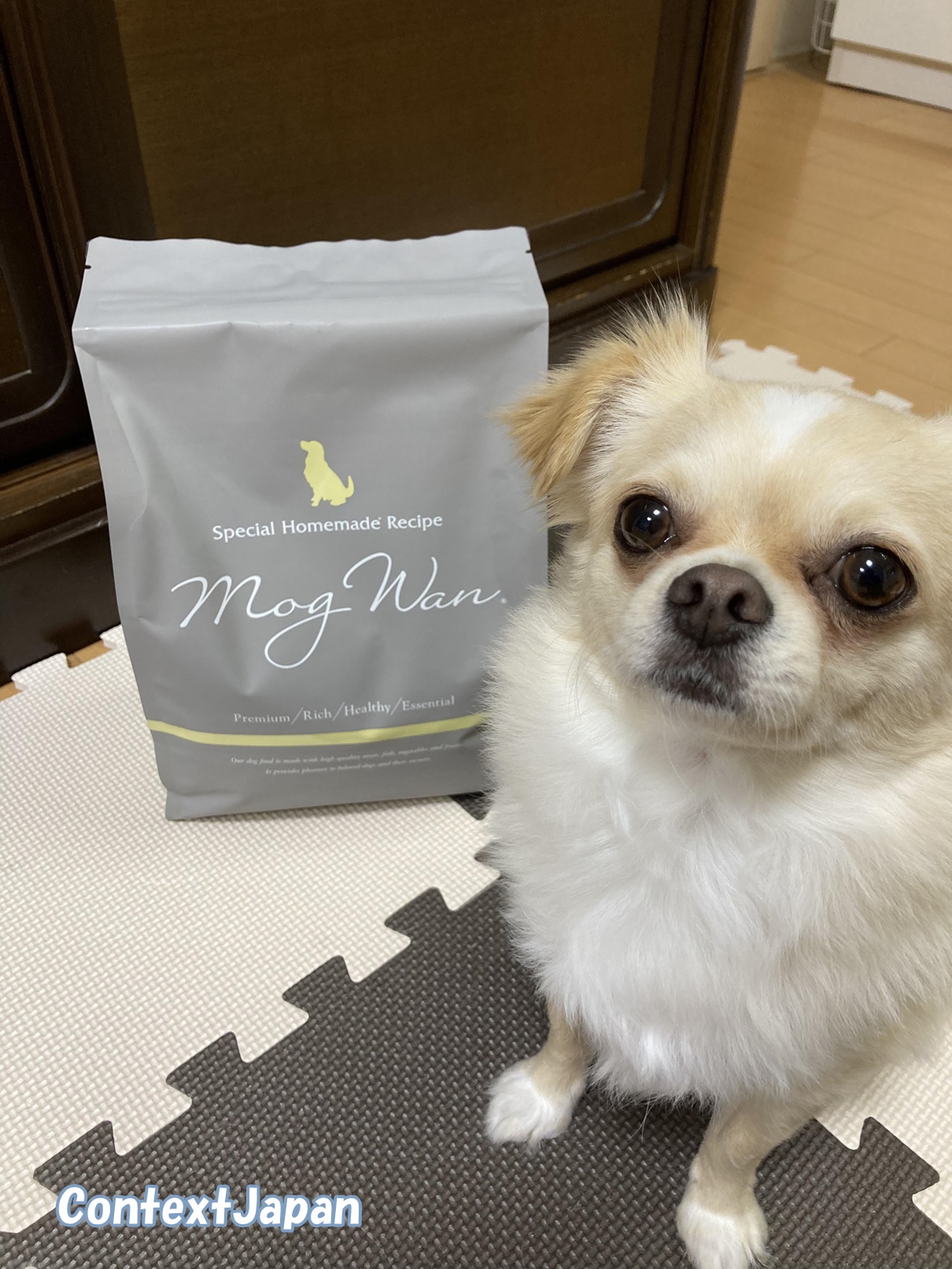 レティシアン:モグワンの口コミ