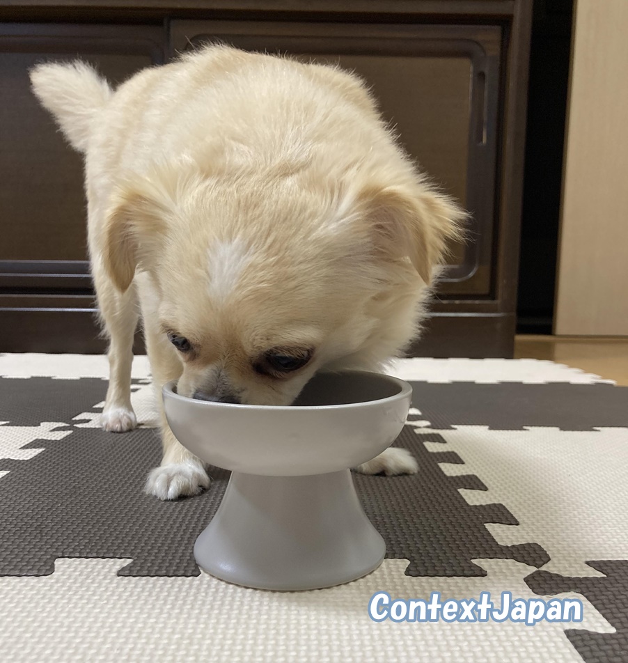 レティシアン:モグワンの口コミ