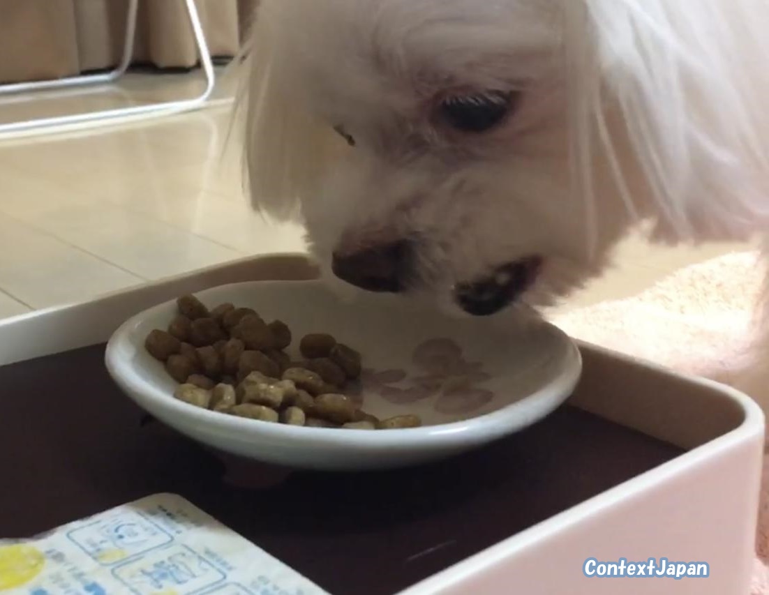 ソルビダ体験談・口コミ