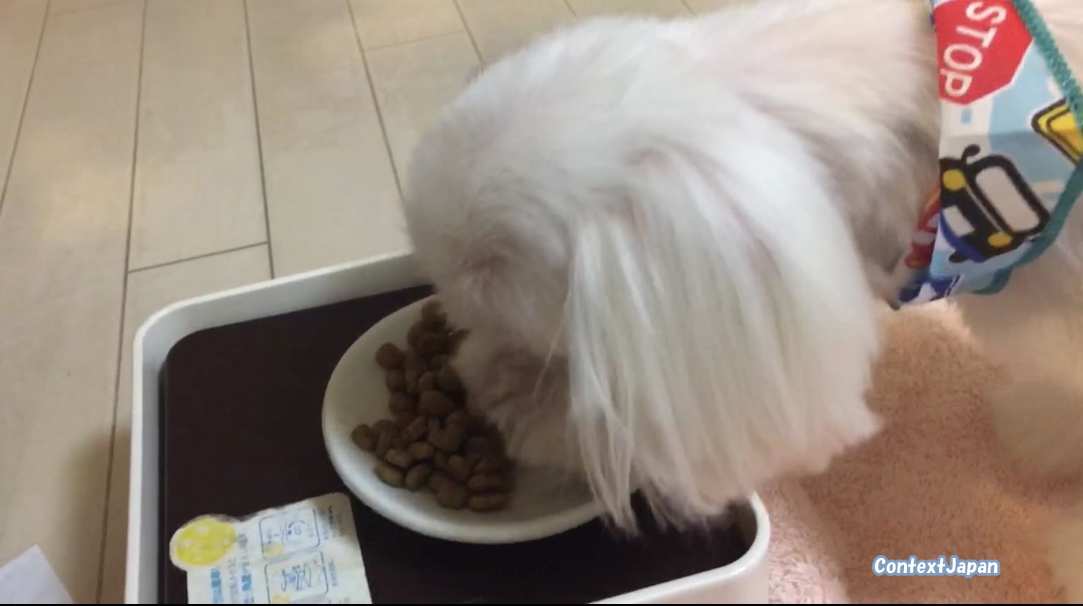 ソルビダ体験談・口コミ