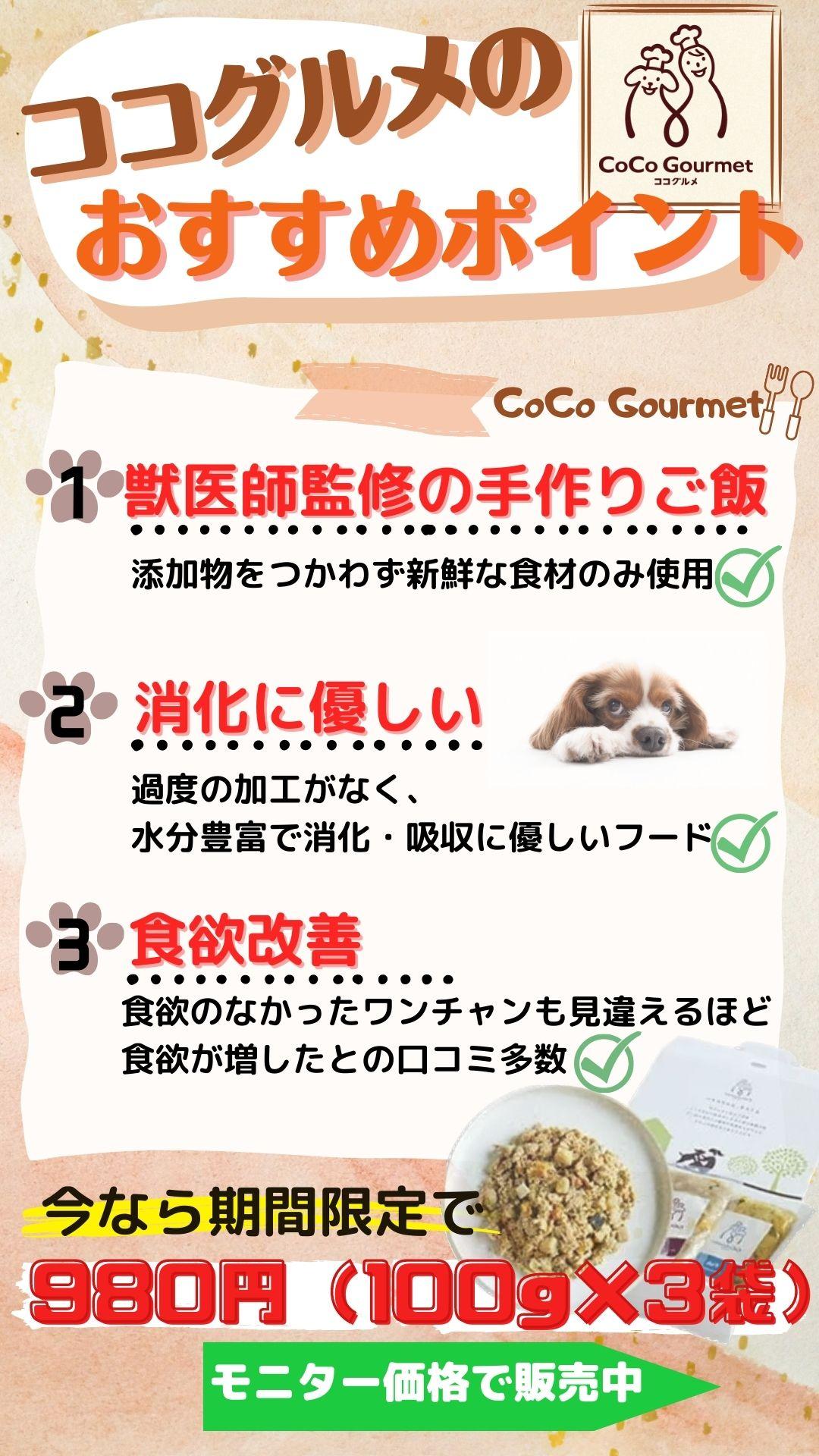 ココグルメのおすすめポイント