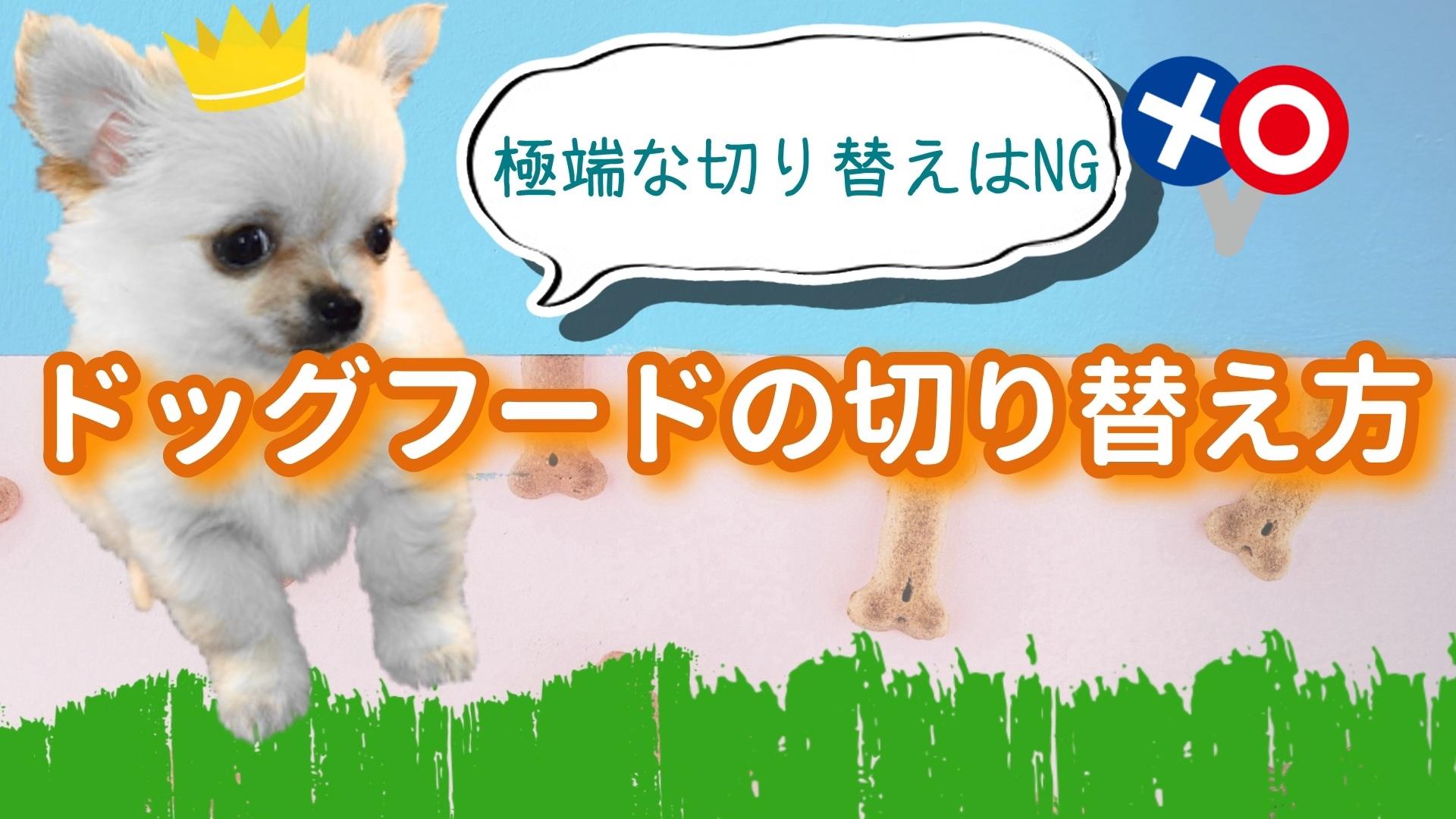 ドッグフードの切り替え方