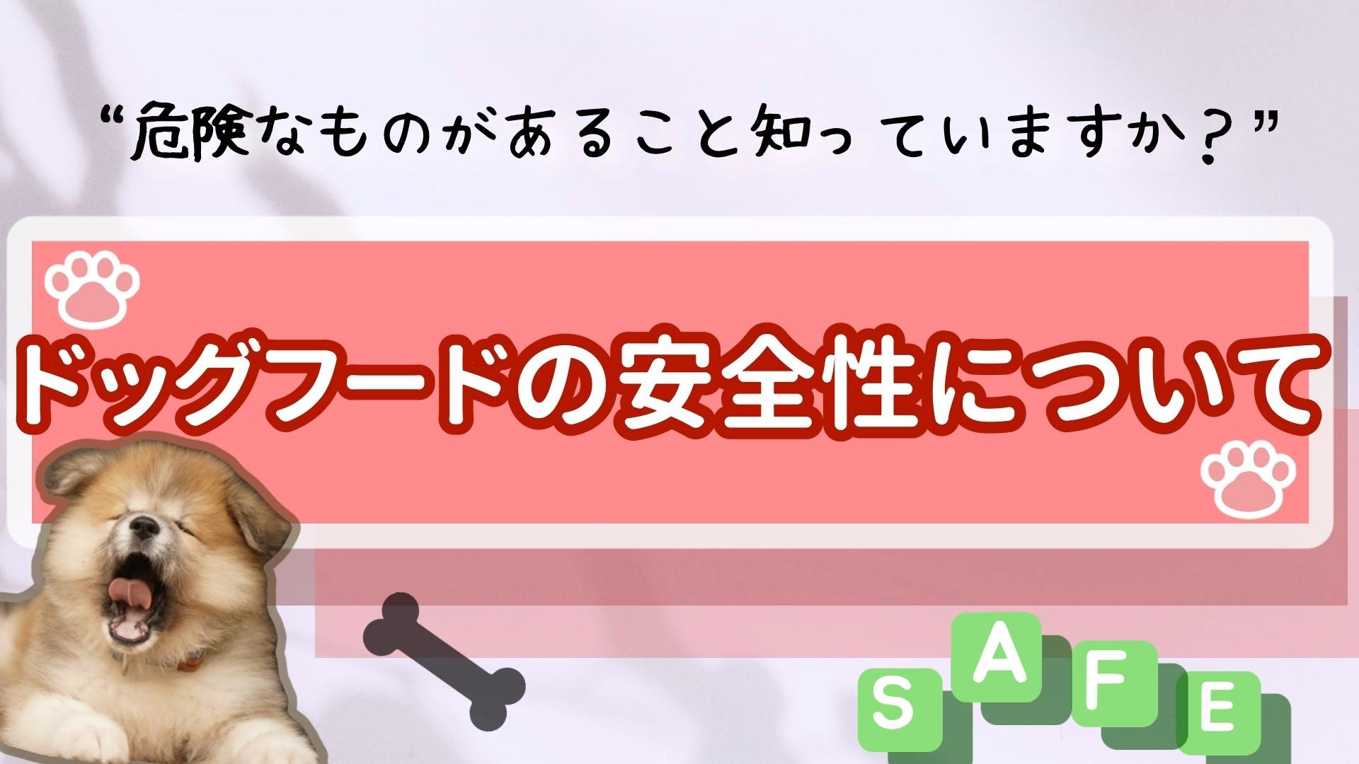 ドッグフードの安全性について