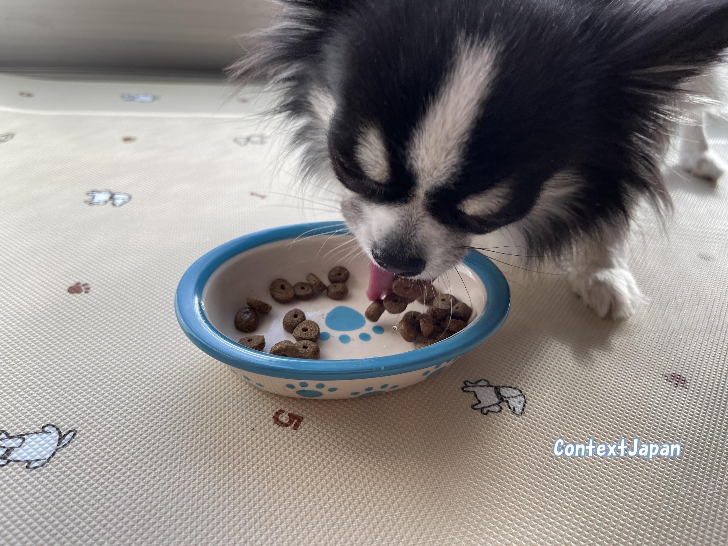 モグワンの口コミ