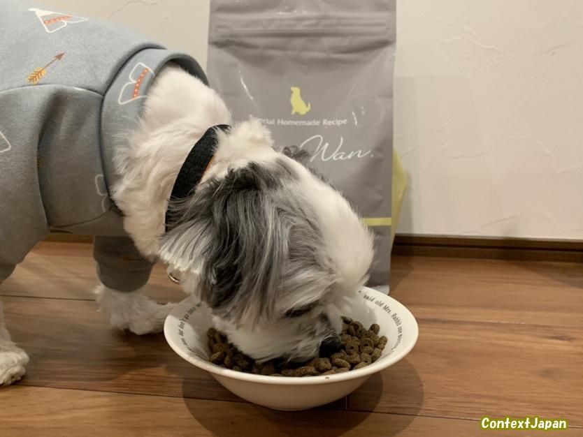 モグワン体験談