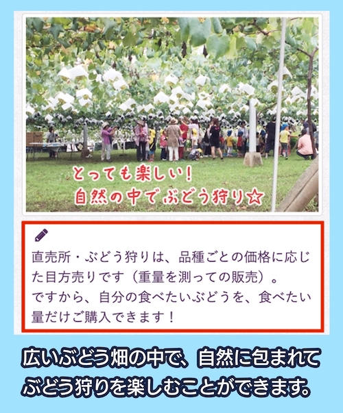 岩崎園の料金相場