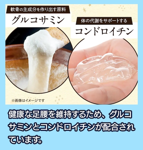 華ちゃん犬猫すこやか本舗「うまか」