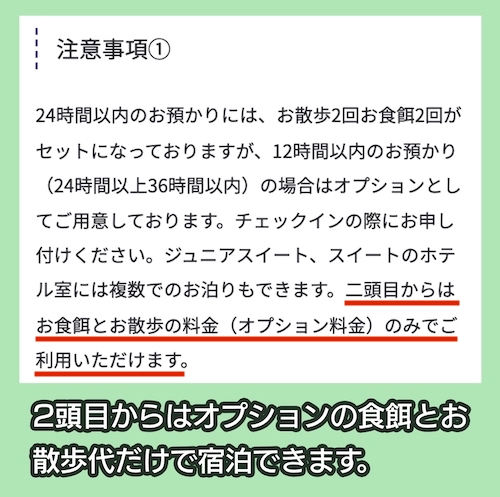 つばさ動物病院 複数頭