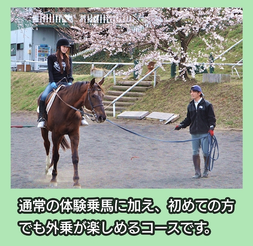 赤城乗馬クラブ 乗馬体験+パカパカ散歩(外乗り)