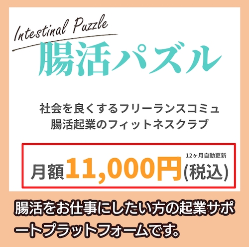 腸活パズル 料金