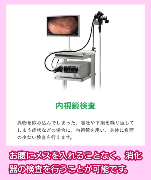 みなみ野動物病院 内視鏡検査