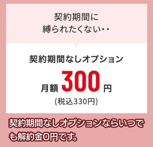 airwifi 契約期間なしオプション