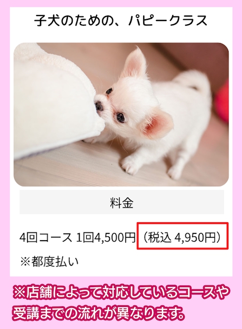 イオンペット しつけ教室(幕張新都心店)の料金相場