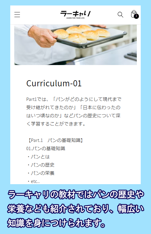 ラーキャリのカリキュラム
