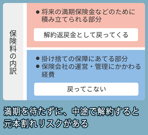 学資保険の内