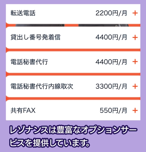 レゾナンス オプション