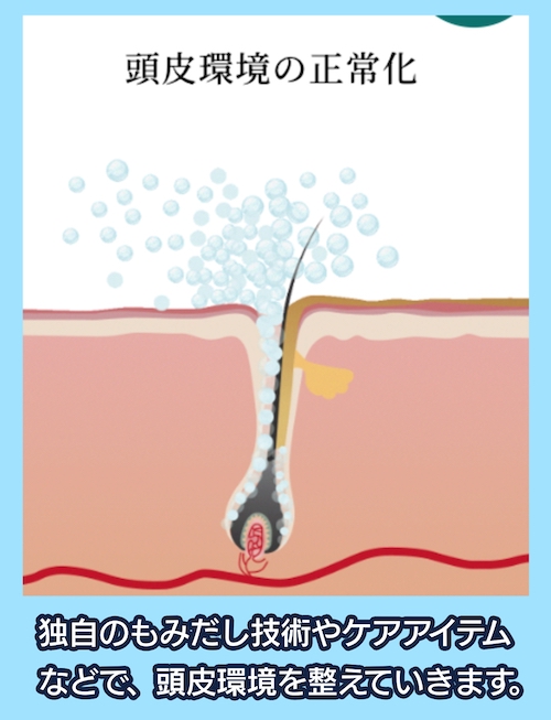 バイオテック 頭皮環境の正常化