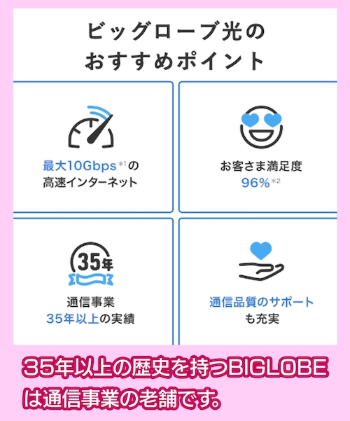 ビッグローブ光の実績