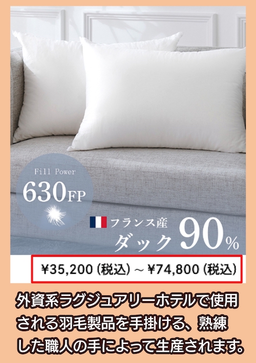 630FPフランス産ダウンピローの価格