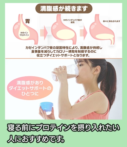 NICHIGA カゼインプロテイン