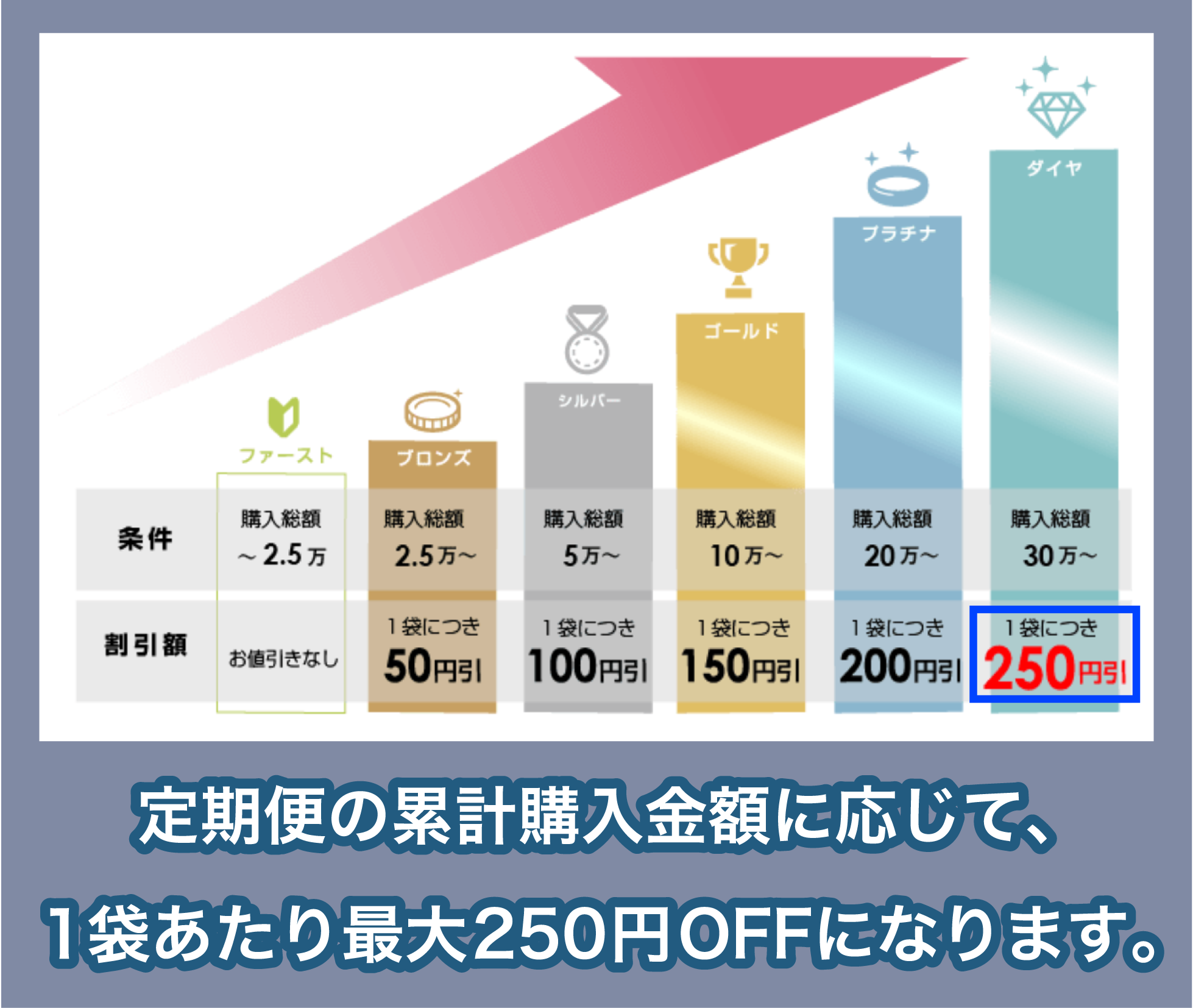 AIJの会員ステージ特典