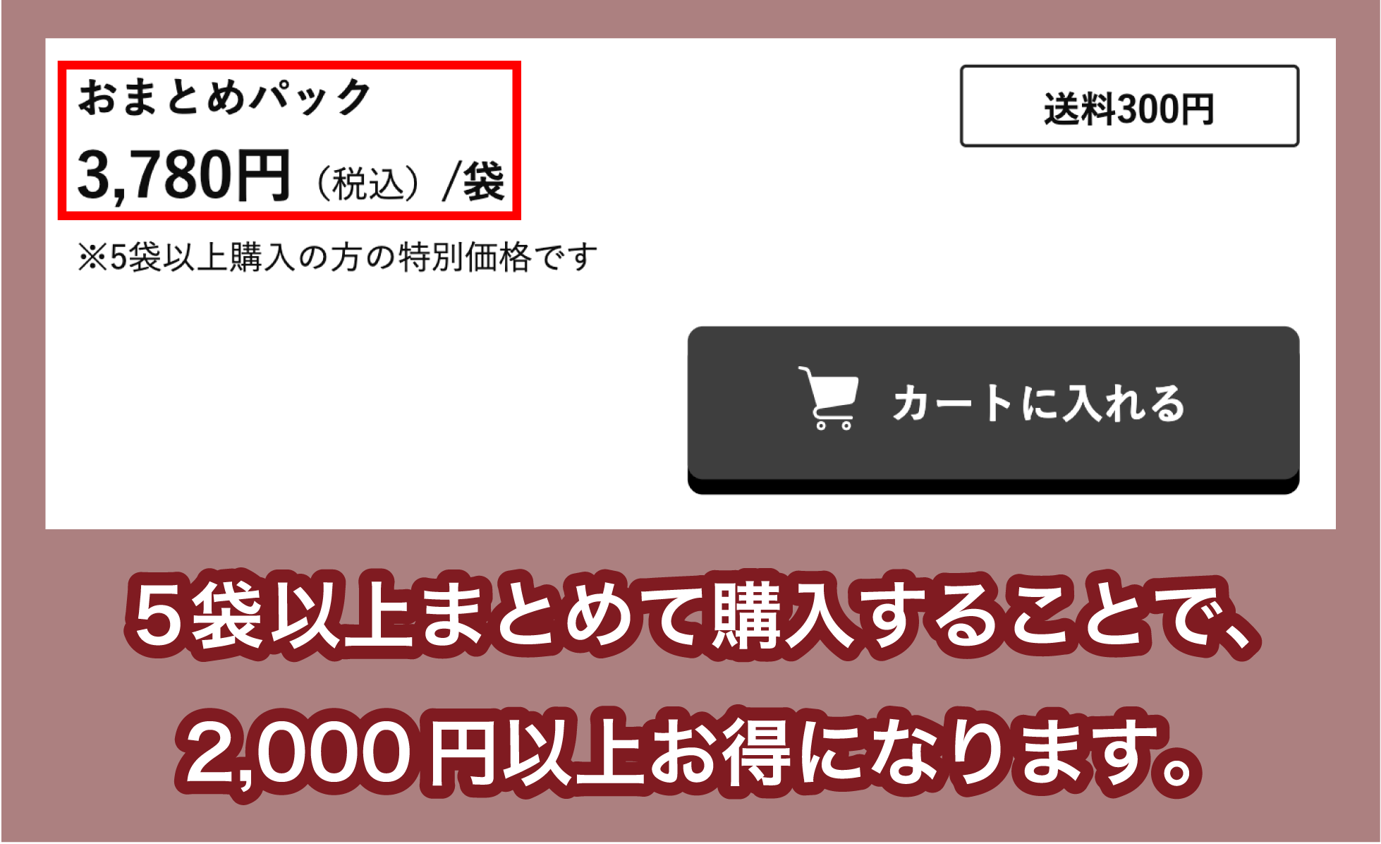 AIJ「臭ピタッ！プラス」のまとめ買い割引