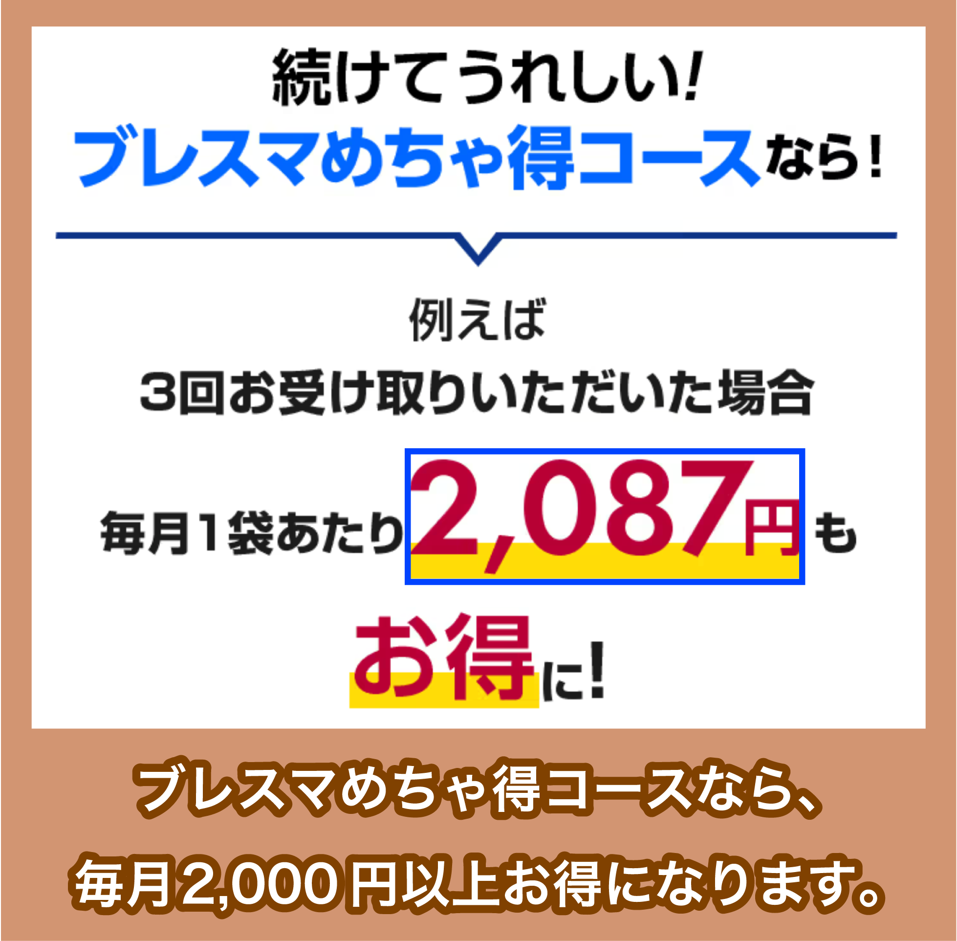 BRESMILE「ブレスマイル」の定期便割引