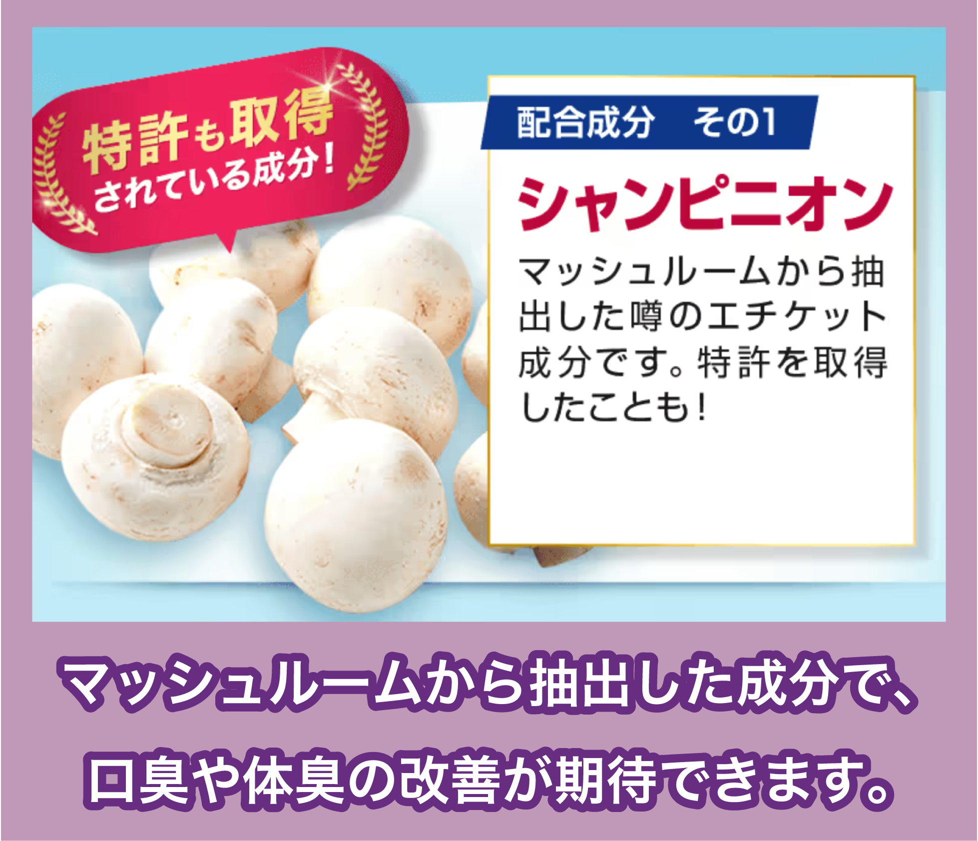 シャンピニオンの効果