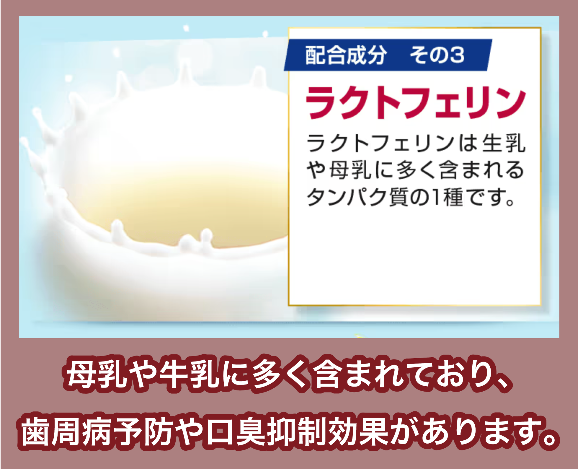 ラクトフェリンの効果