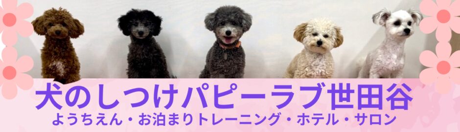 犬のしつけパピーラブ世田谷