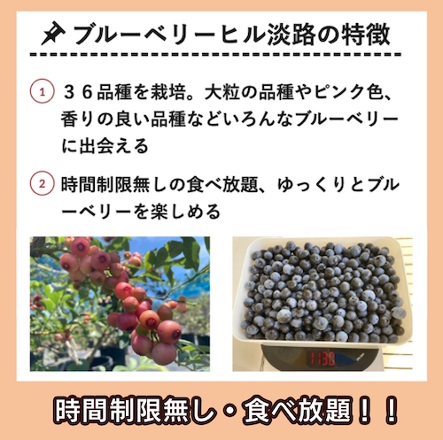ブルーベリーヒル淡路 食べ放題