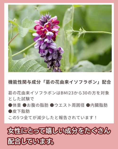 risou no Coffee ダイエットサポート成分配合