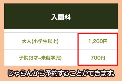 藤崎ブルーベリーファームの料金相場