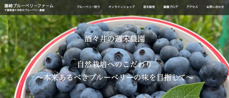 藤崎ブルーベリーファーム
