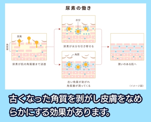 興和株式会社 尿素の効果