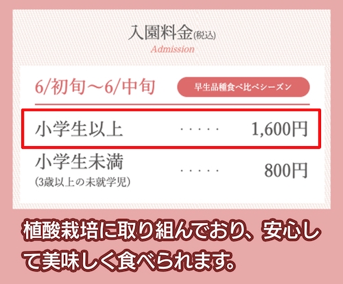 鈴木さくらんぼ園の料金