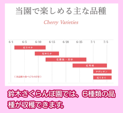 鈴木さくらんぼ園の品種