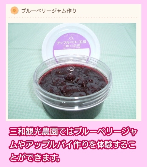 三和観光農園のブルーベリージャム作り