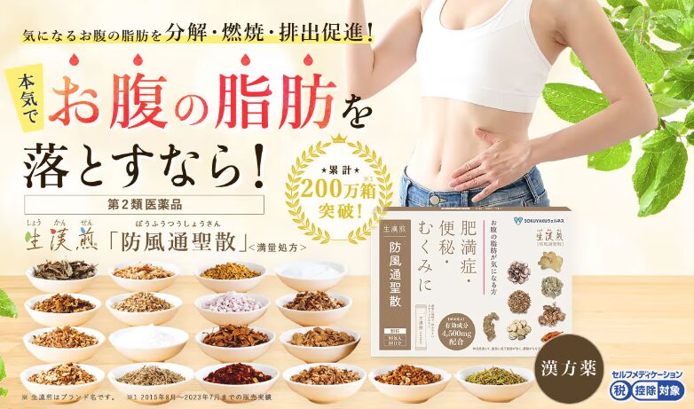 生漢煎 防風通聖散