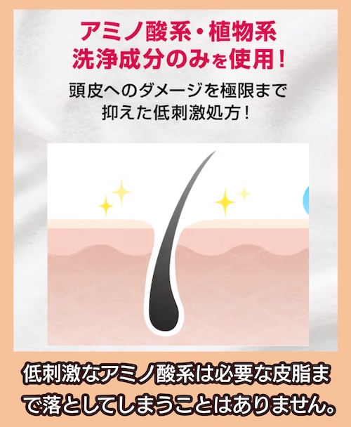 ソーシャルテック チャップアップシャンプー