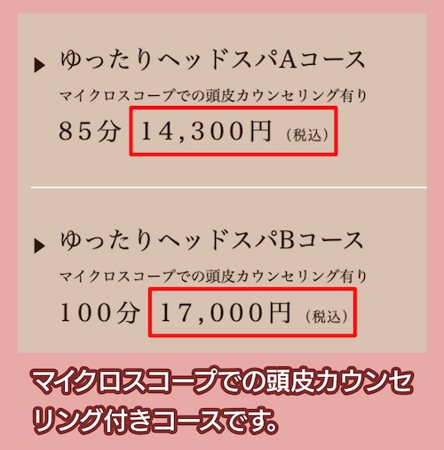 Rittsのヘッドスパの料金相場