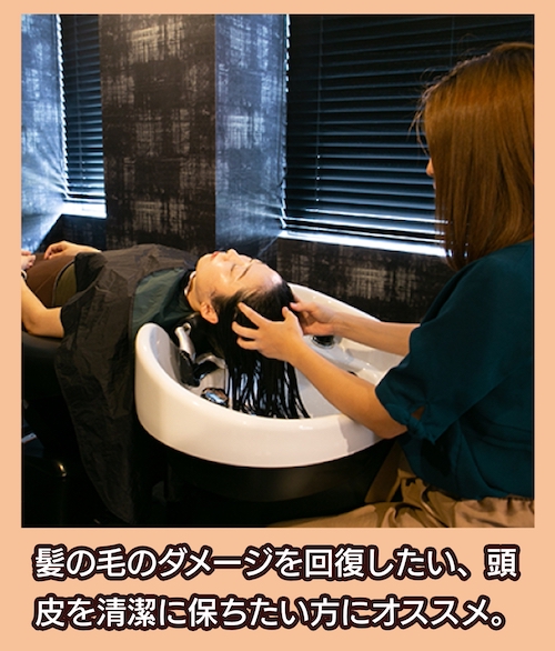 Harmonia ウェットヘッドスパ