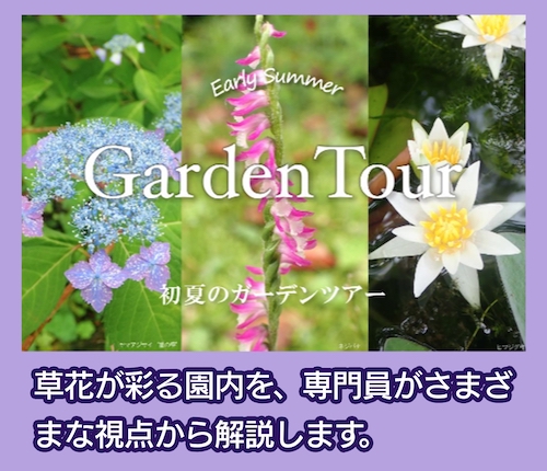牧野植物園 イベント